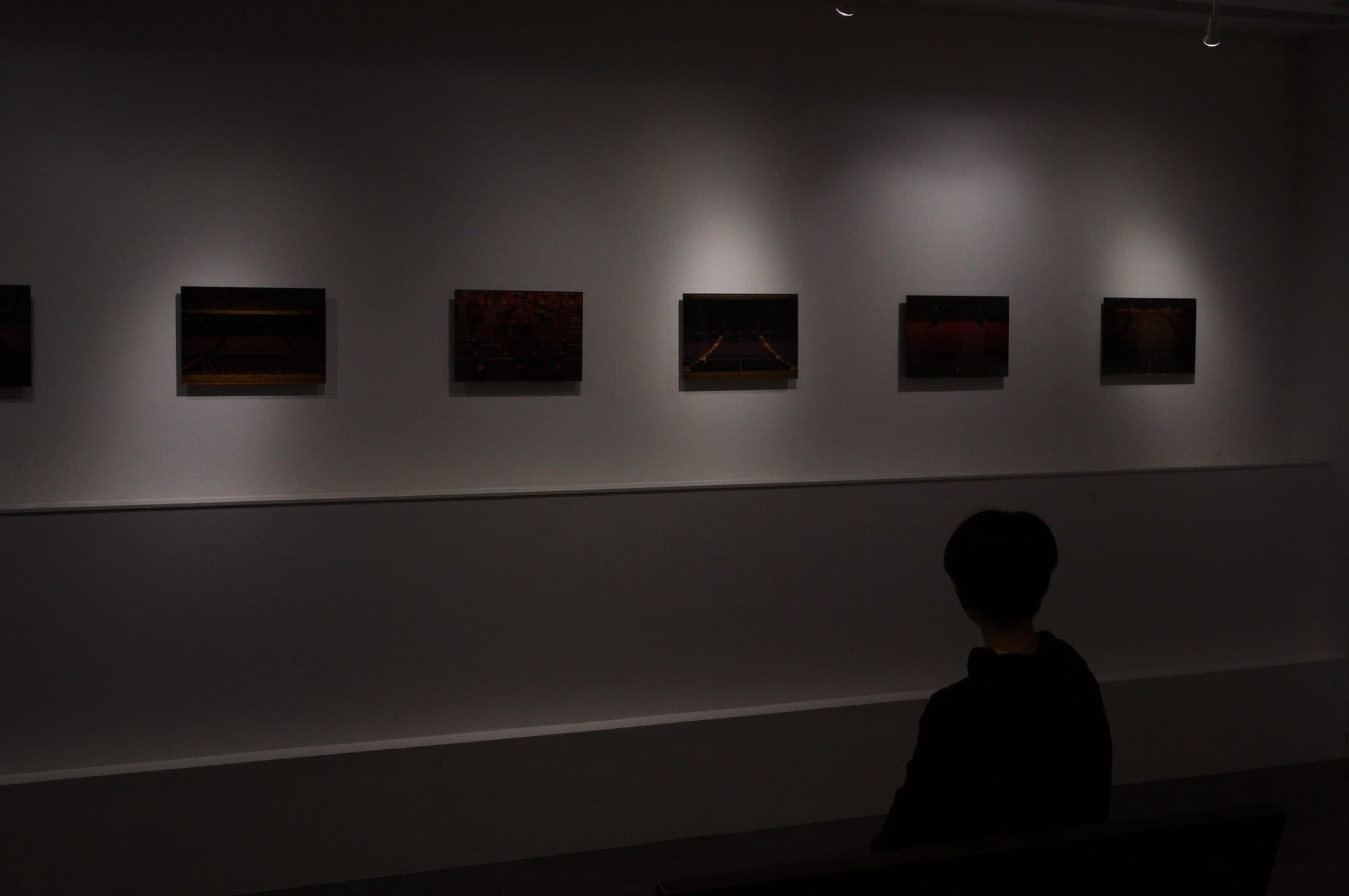 暗い会場の壁に、客席の写真が一列に照らし出されている。手前にひとり、後ろ姿の影