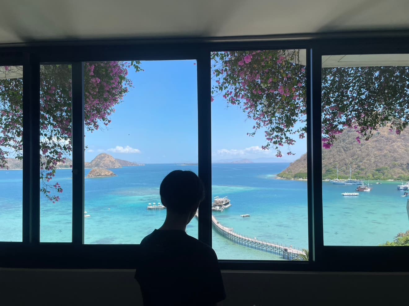 窓の向こうの海を見るシルエット